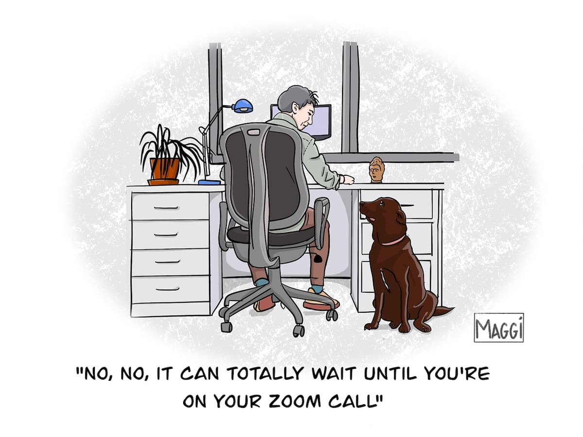 No, no, it can totally wait until you're on your Zoom call.