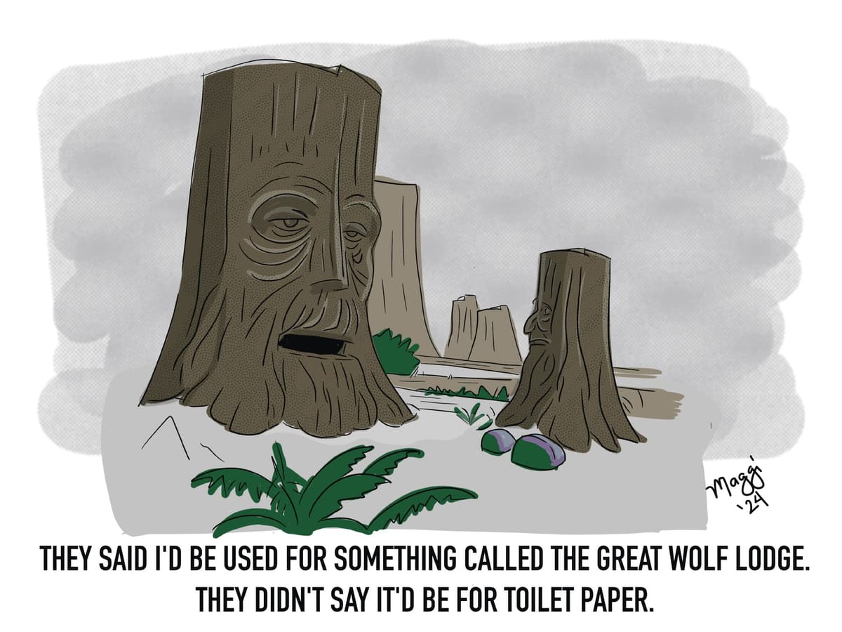They said I'd be used for something called the Great Wolf Lodge. They didn't say it'd be for toilet paper.